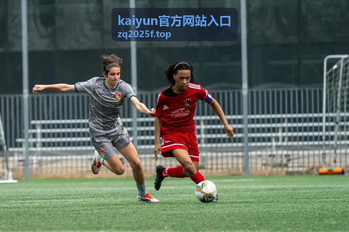 kaiyun官方网站入口界面示意图